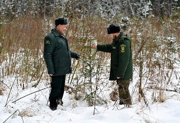 В Серпухове стартовала операция «Ёлочка»